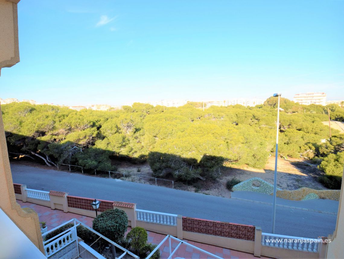 Sprzedaż - Apartament - Guardamar del Segura - South Park