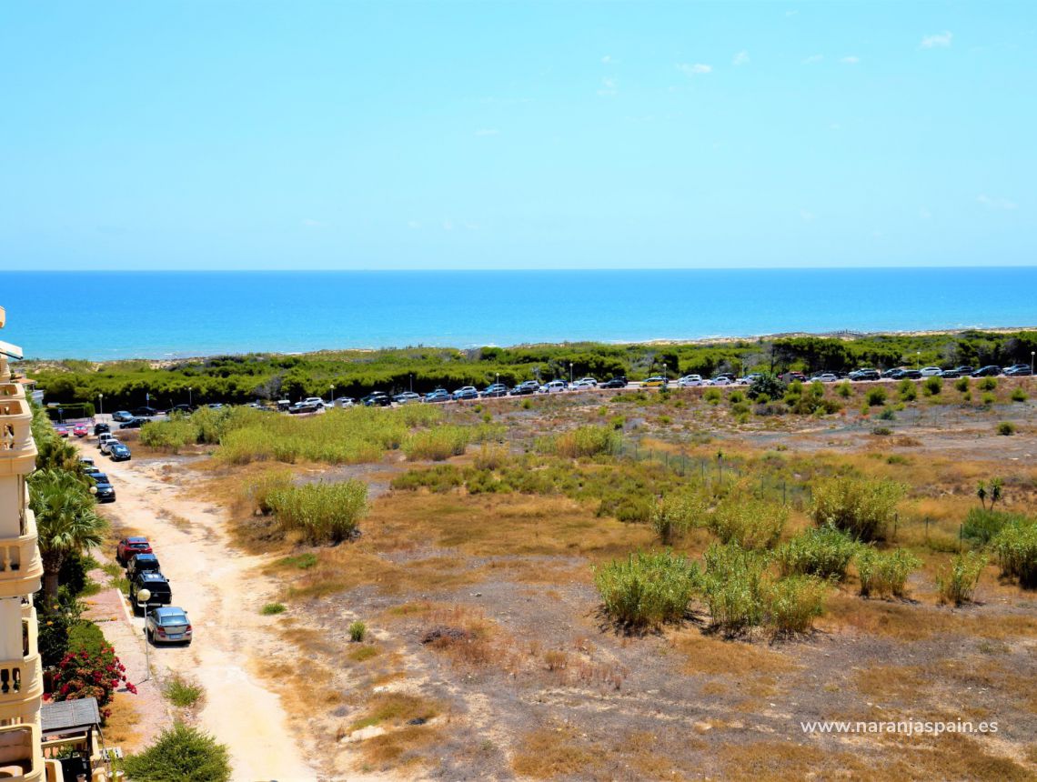 Sprzedaż - Apartament - Guardamar del Segura - Urb. El Moncayo 