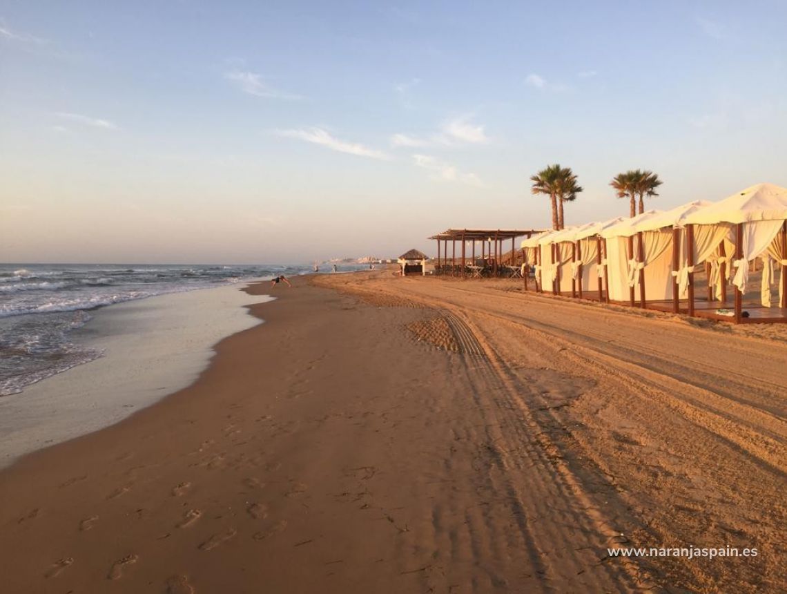 Sprzedaż - Apartament - Guardamar del Segura - Urb. El Moncayo 