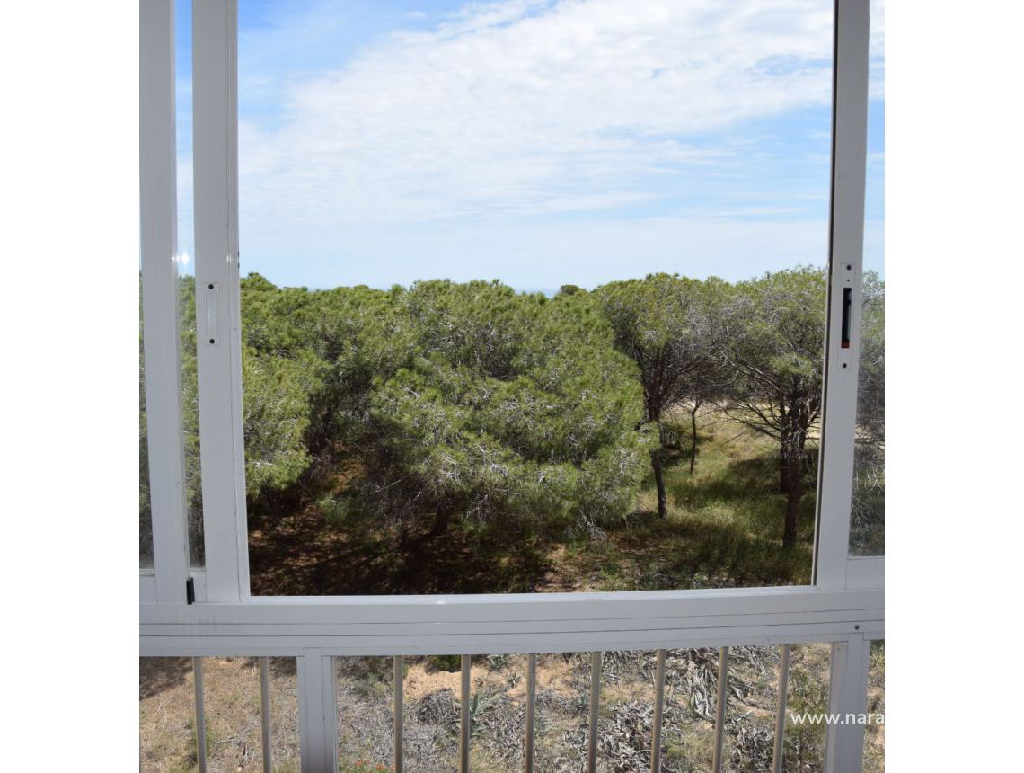 Sprzedaż - Apartament - Guardamar del Segura - Urb. Lomas del Polo