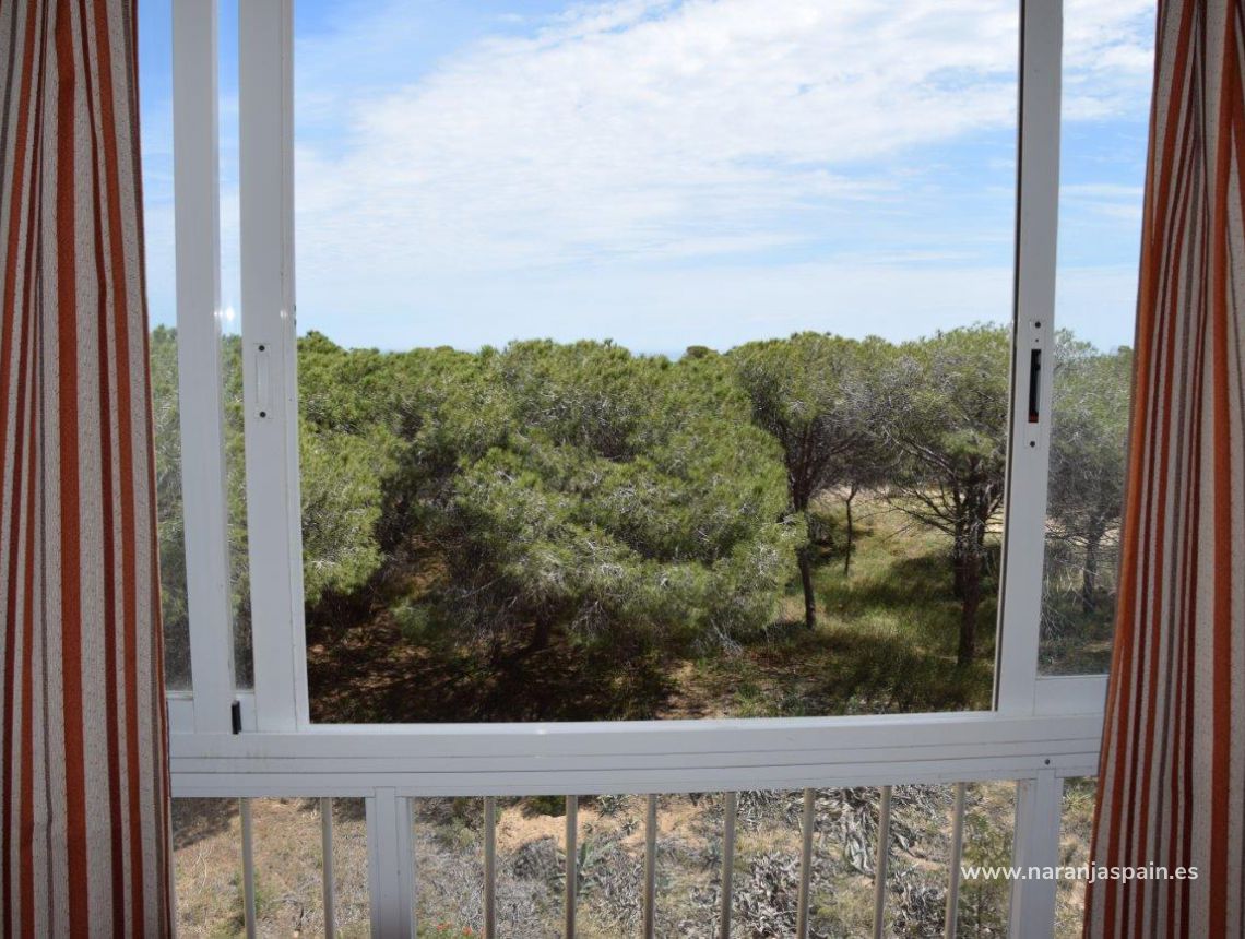 Sprzedaż - Apartament - Guardamar del Segura - Urb. Lomas del Polo