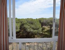 Sprzedaż - Apartament - Guardamar del Segura - Urb. Lomas del Polo