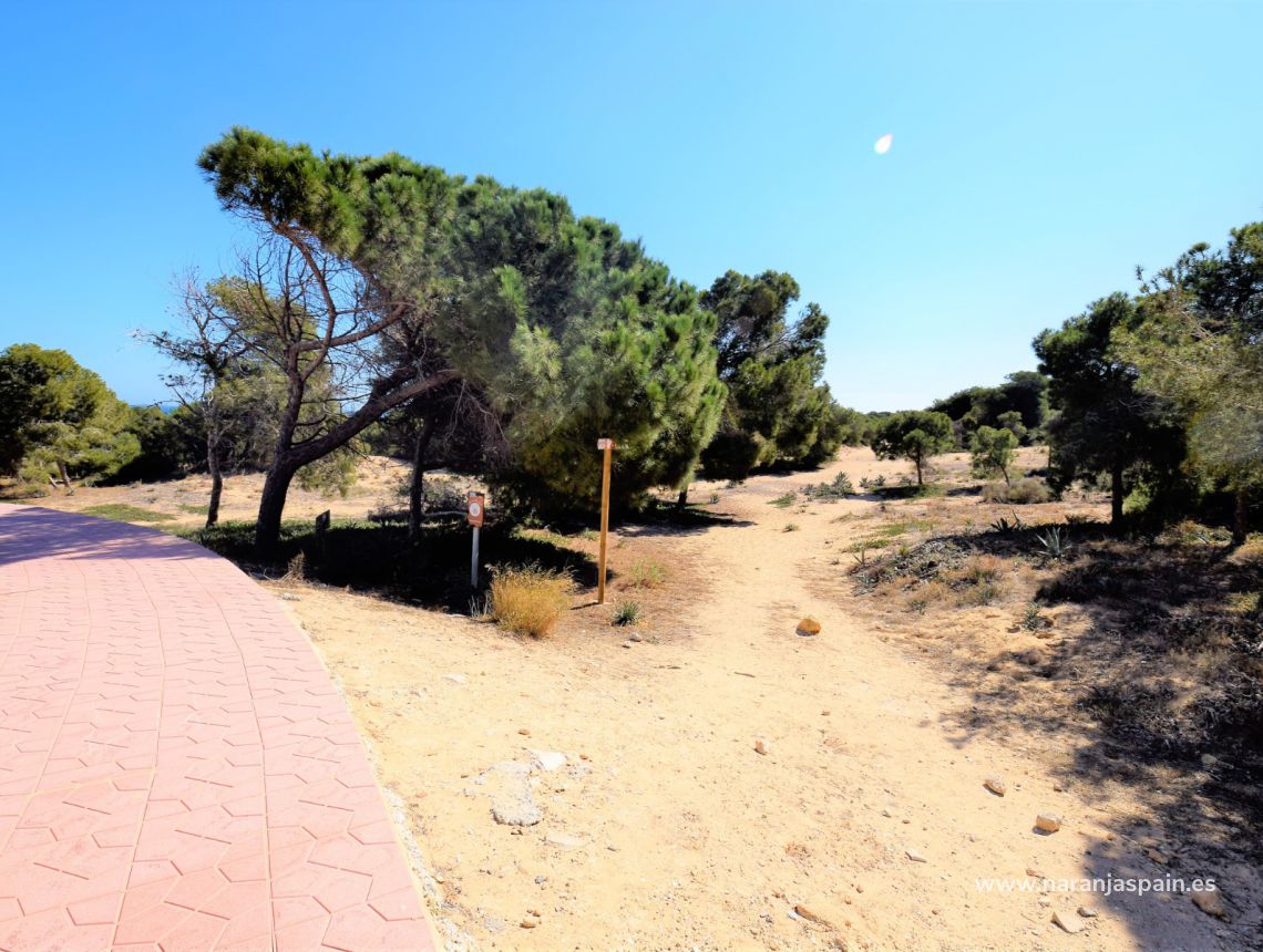 Sprzedaż - Apartament - Guardamar del Segura - Urb. Portico Mar