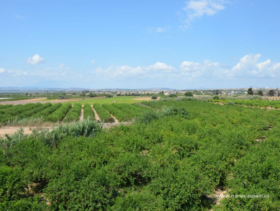 Sprzedaż - Apartament - Guardamar del Segura - Urb. Portico Mediterraneo