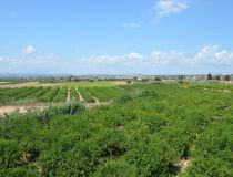 Sprzedaż - Apartament - Guardamar del Segura - Urb. Portico Mediterraneo