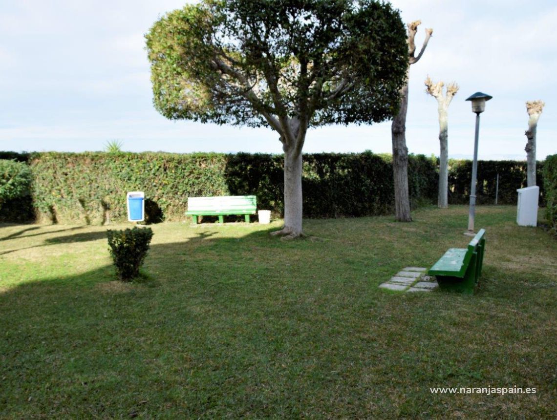 Sprzedaż - Apartament - La Mata, Torrevieja - La Mata