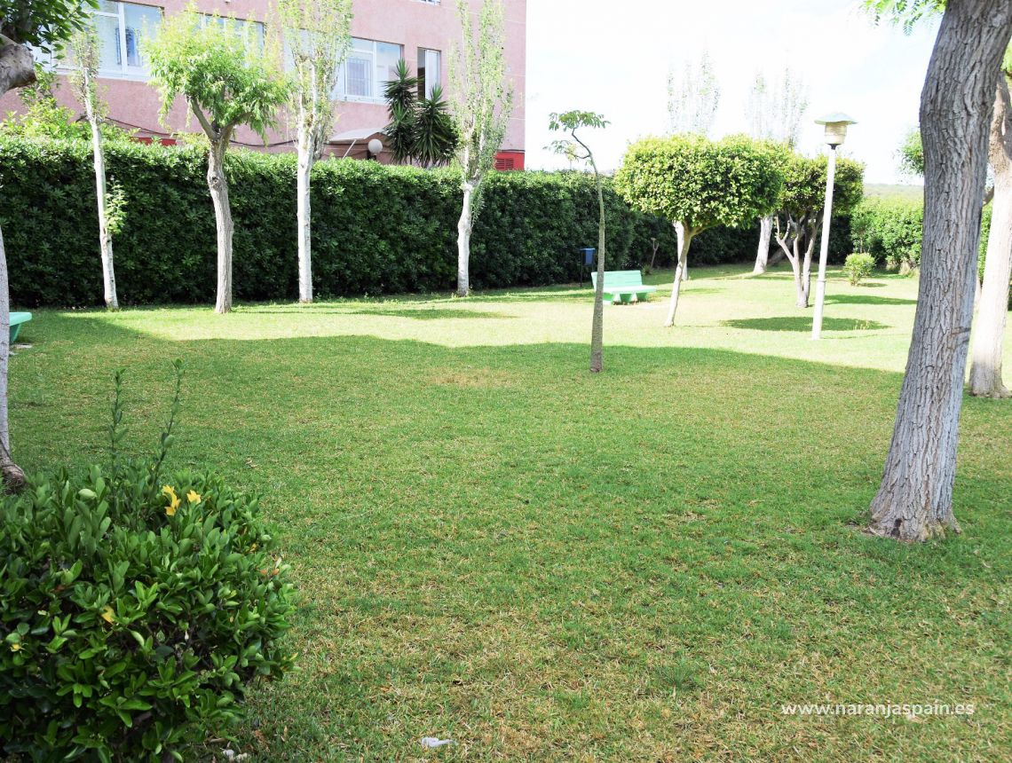 Sprzedaż - Apartament - La Mata, Torrevieja - La Mata