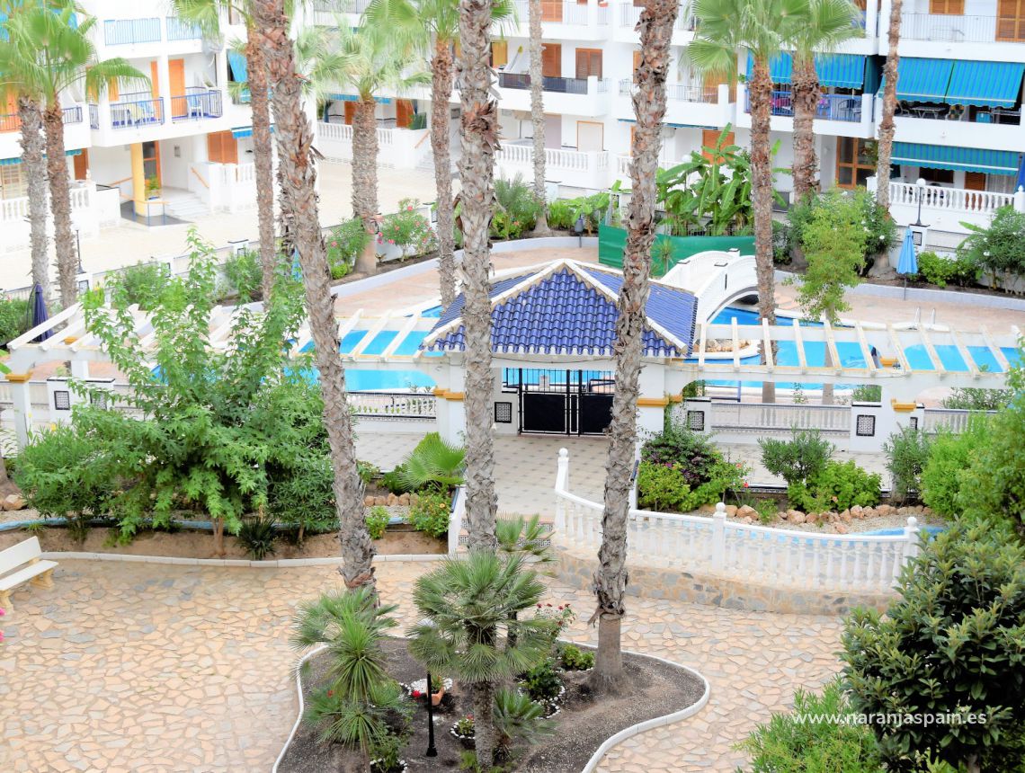 Sprzedaż - Apartament - La Mata, Torrevieja - La Mata