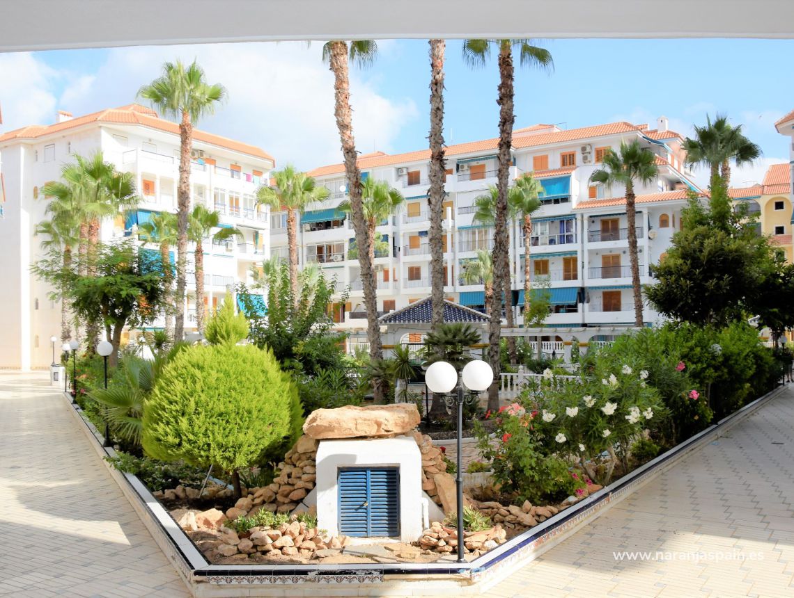 Sprzedaż - Apartament - La Mata, Torrevieja - La Mata