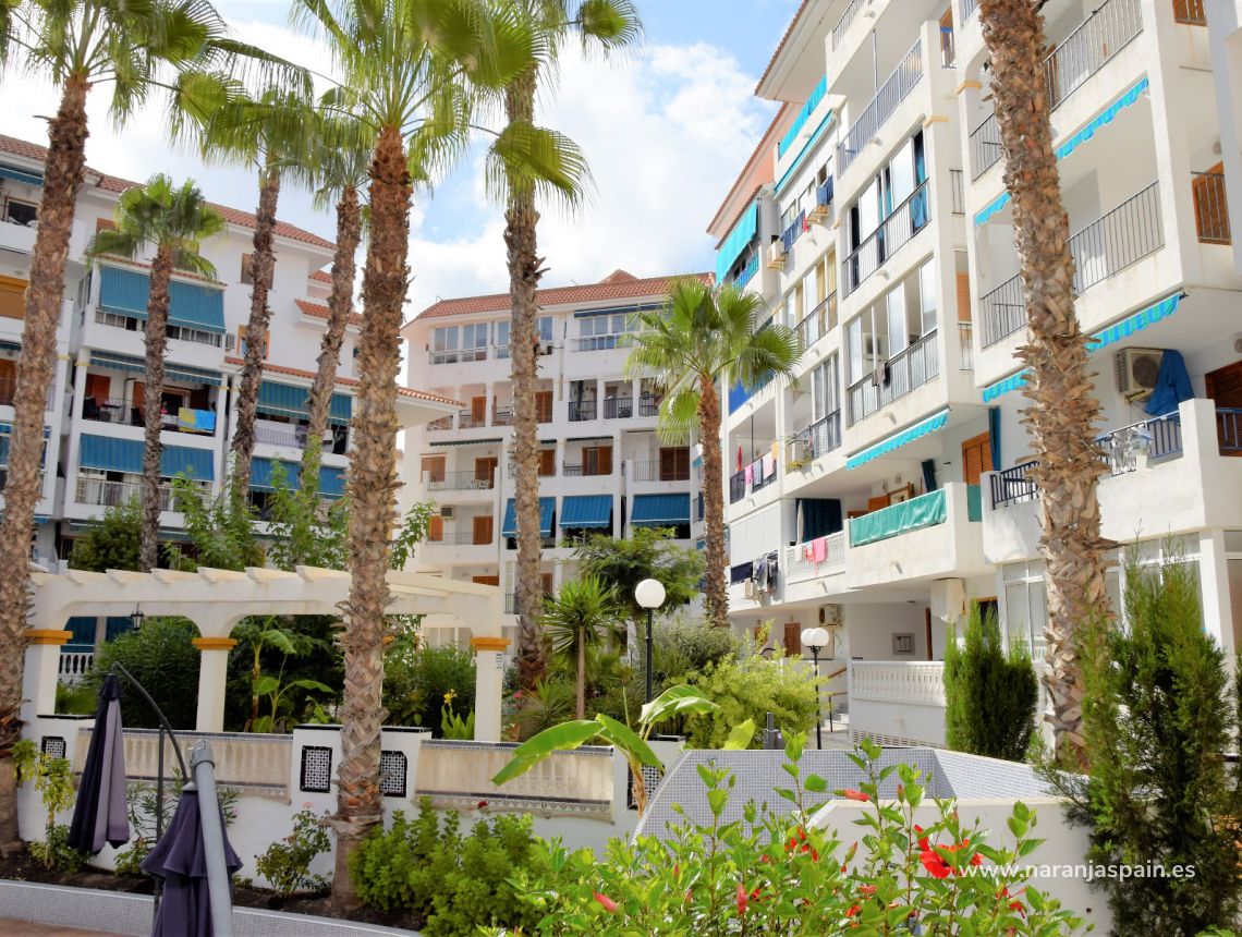 Sprzedaż - Apartament - La Mata, Torrevieja - La Mata