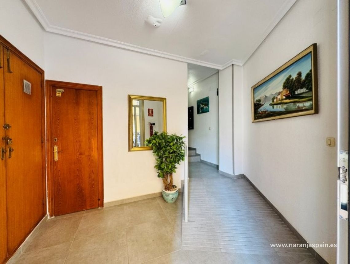 Sprzedaż - Apartament - La Mata, Torrevieja - La Mata