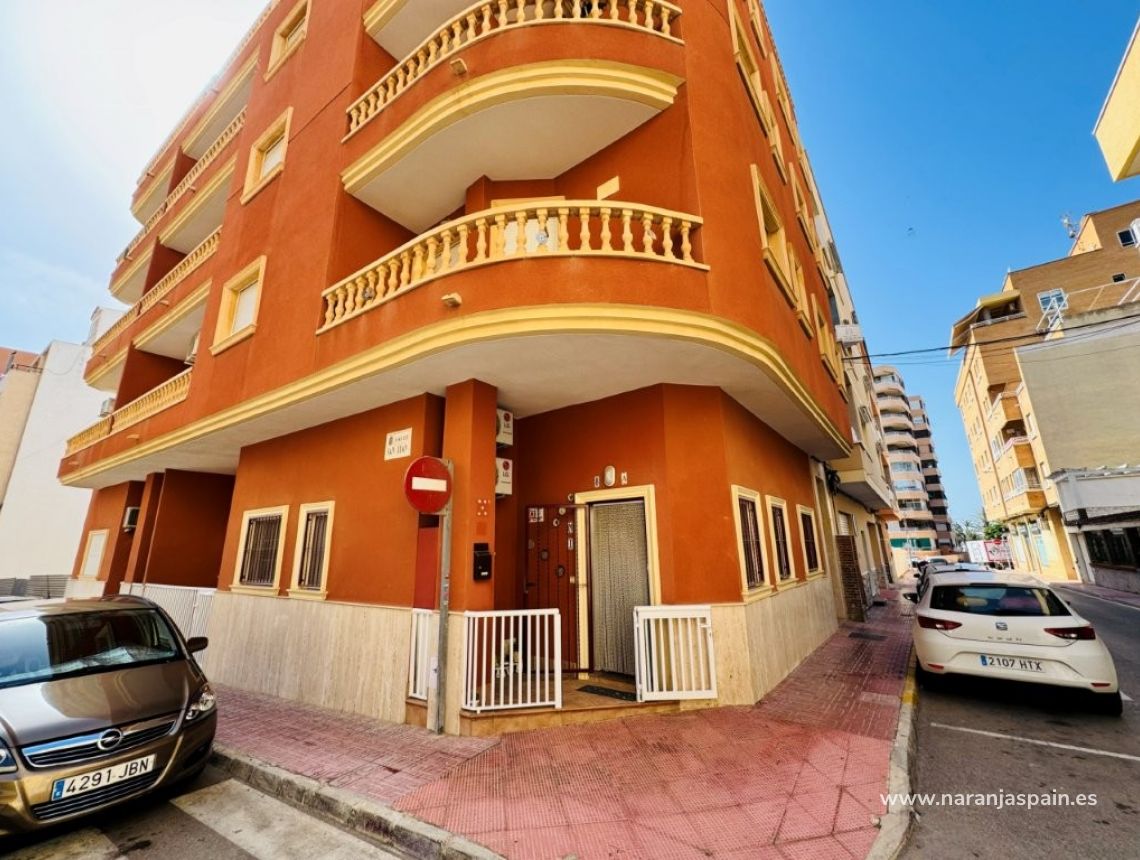 Sprzedaż - Apartament - La Mata, Torrevieja - La Mata