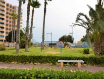 Sprzedaż - Apartament - La Mata, Torrevieja - La Mata