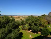 Sprzedaż - Apartament - La Mata, Torrevieja - La Mata