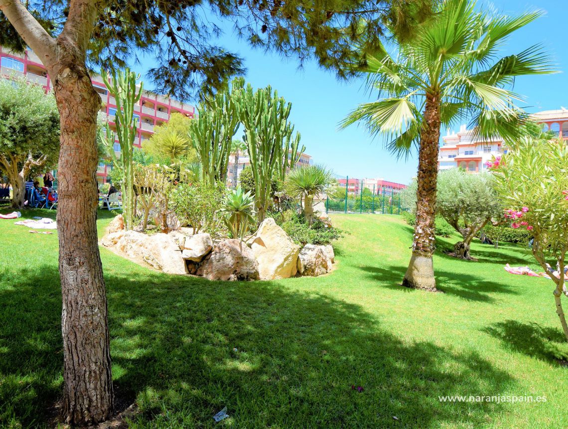Sprzedaż - Apartament - La Mata, Torrevieja - La Mata