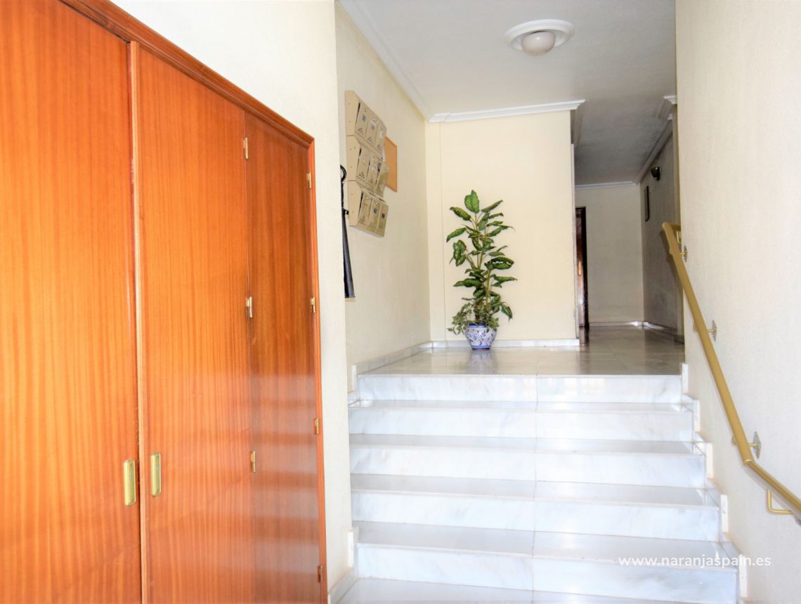 Sprzedaż - Apartament - Los Montesinos