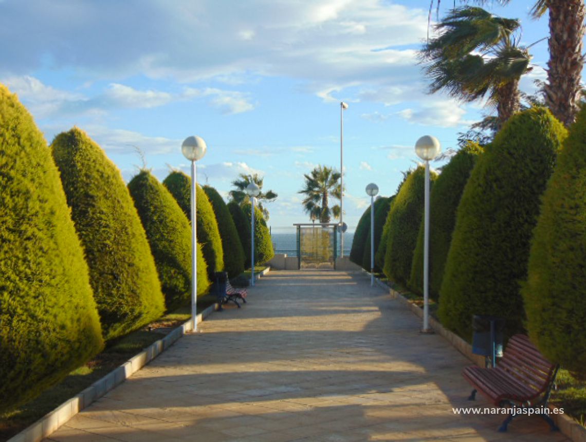 Sprzedaż - Apartament - Orihuela Coast - Cabo Roig