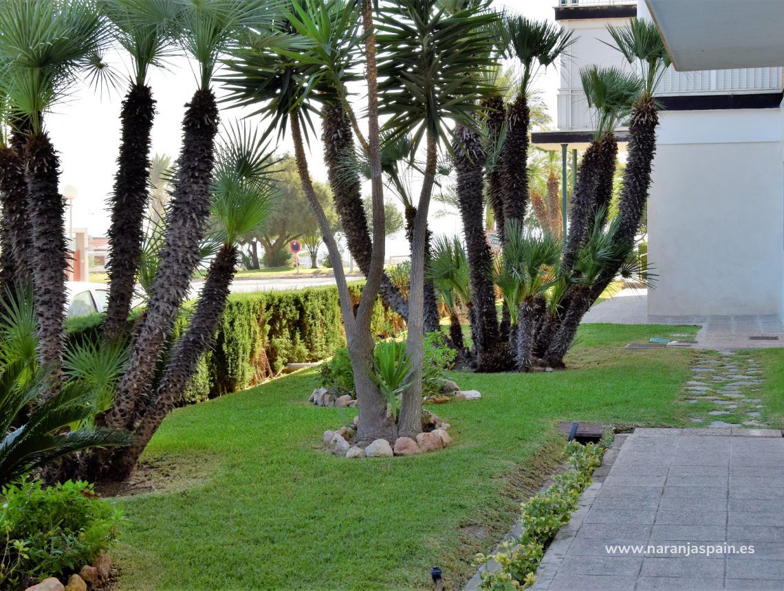 Sprzedaż - Apartament - Orihuela Coast - Campoamor