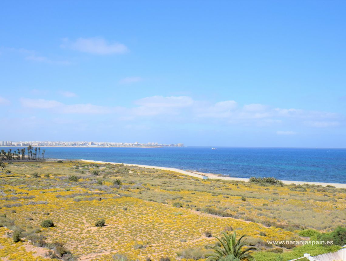 Sprzedaż - Apartament - Orihuela Coast - Punta Prima