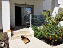 Sprzedaż - Apartament - Rojales - Ciudad Quesada