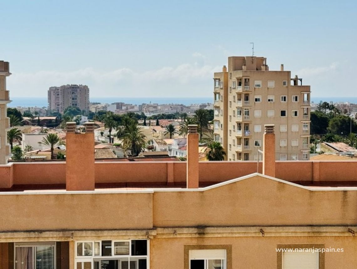 Sprzedaż - Apartament - Torrevieja - Aguas nuevas 1