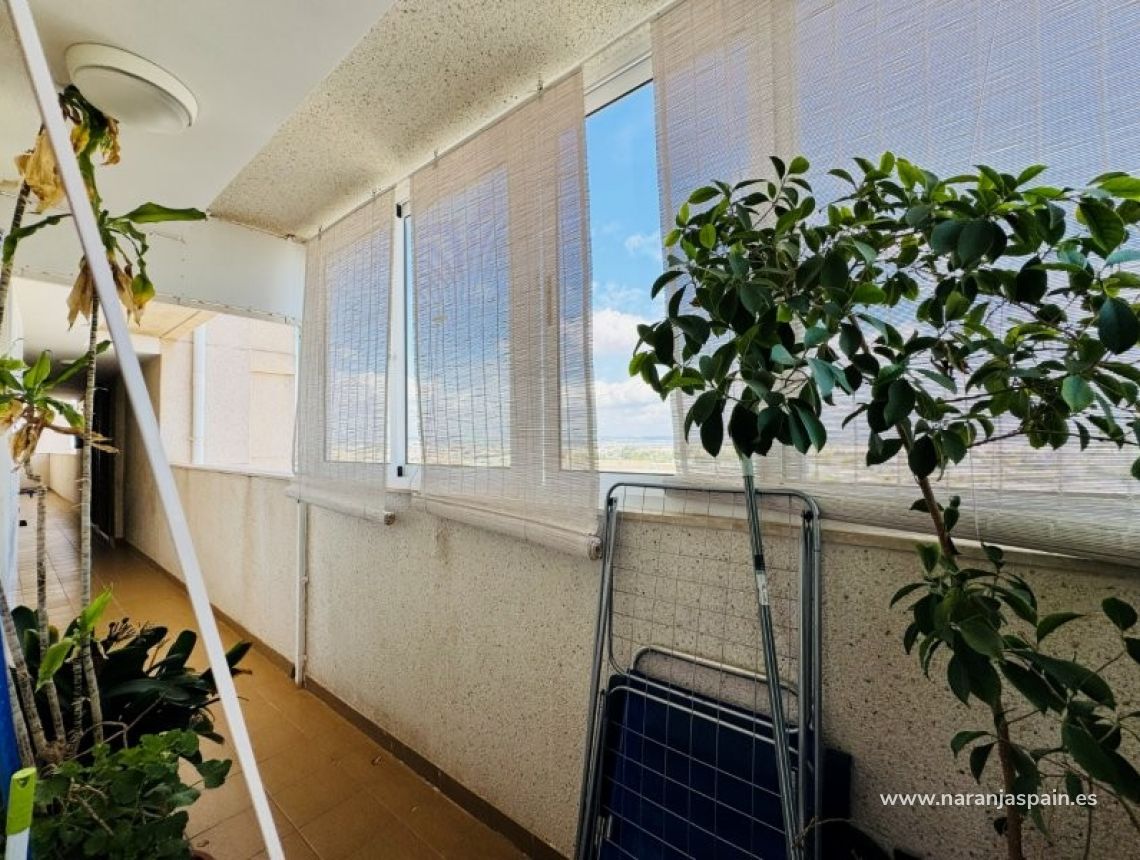 Sprzedaż - Apartament - Torrevieja - Aguas nuevas 1