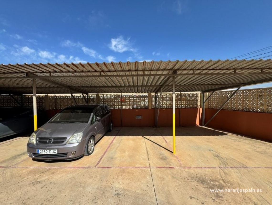 Sprzedaż - Apartament - Torrevieja - Aguas nuevas 1