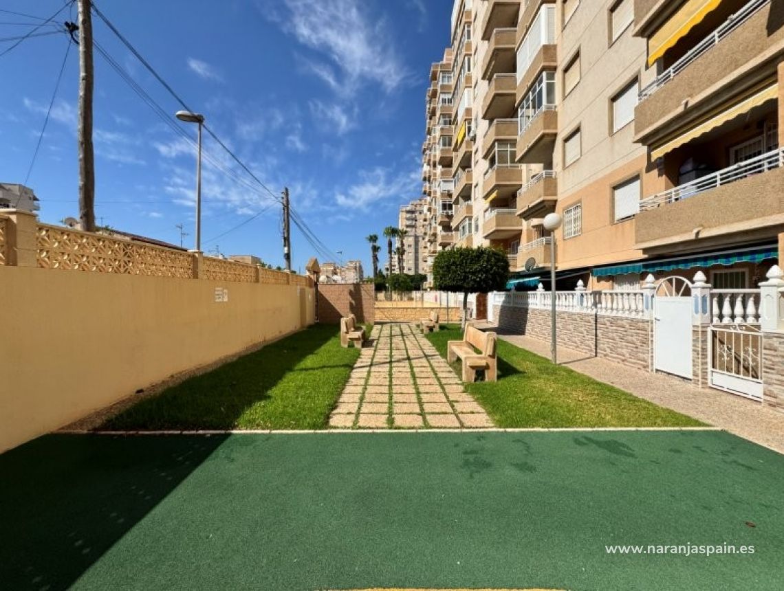 Sprzedaż - Apartament - Torrevieja - Aguas nuevas 1