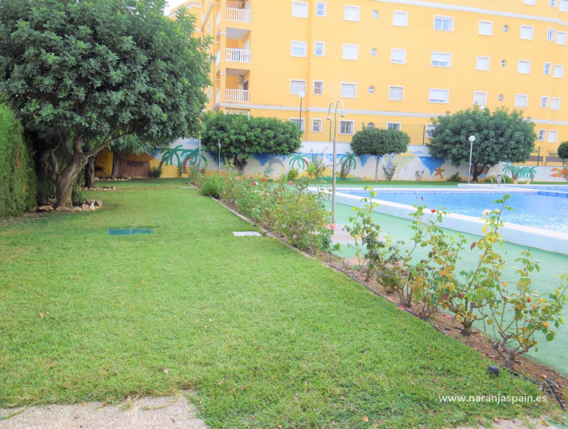 Sprzedaż - Apartament - Torrevieja - Aguas Nuevas