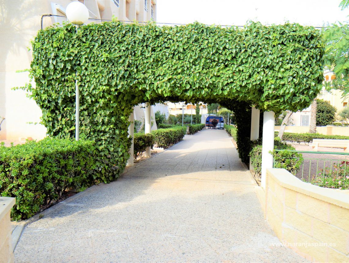 Sprzedaż - Apartament - Torrevieja - Aguas Nuevas