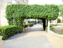 Sprzedaż - Apartament - Torrevieja - Aguas Nuevas