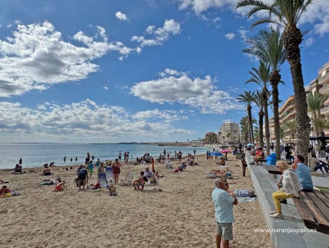 Sprzedaż - Apartament - Torrevieja - Playa del Cura