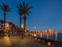 Sprzedaż - Apartament - Torrevieja - Puerto