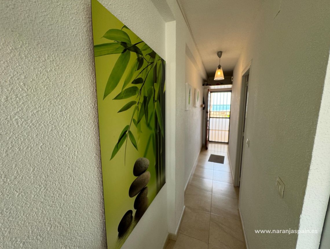 Sprzedaż - Apartament - Torrevieja - Torrevieja>Cabo Cervera