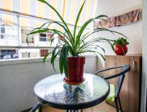 Sprzedaż - Apartament - Torrevieja - Torrevieja town