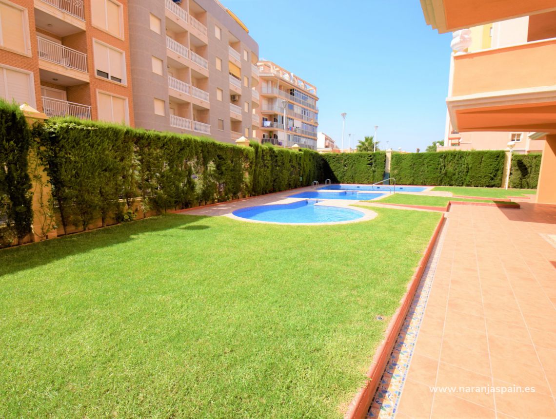 Sprzedaż - Apartament - Torrevieja - Torrevieja town