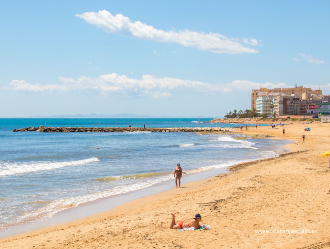 Sprzedaż - Apartament - Torrevieja - Torrevieja town