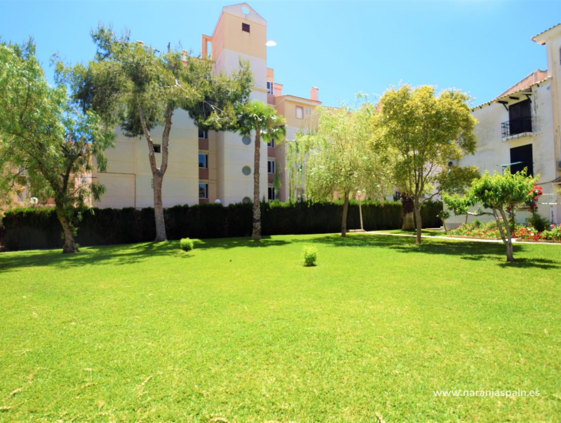 Sprzedaż - Apartament - Torrevieja - Torrevieja town
