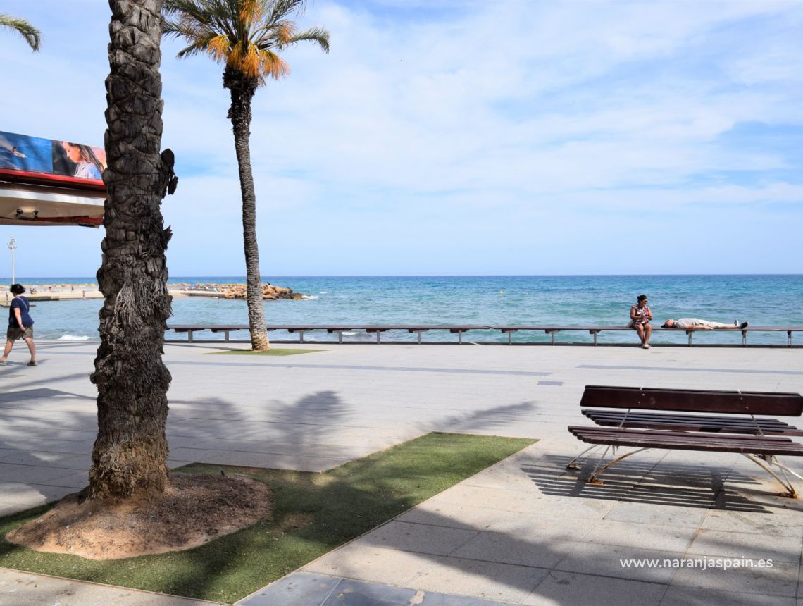 Sprzedaż - Apartament - Torrevieja - Torrevieja town