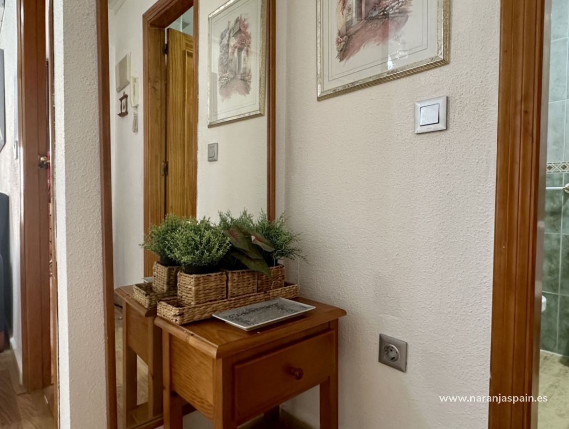 Sprzedaż - Apartament - Torrevieja