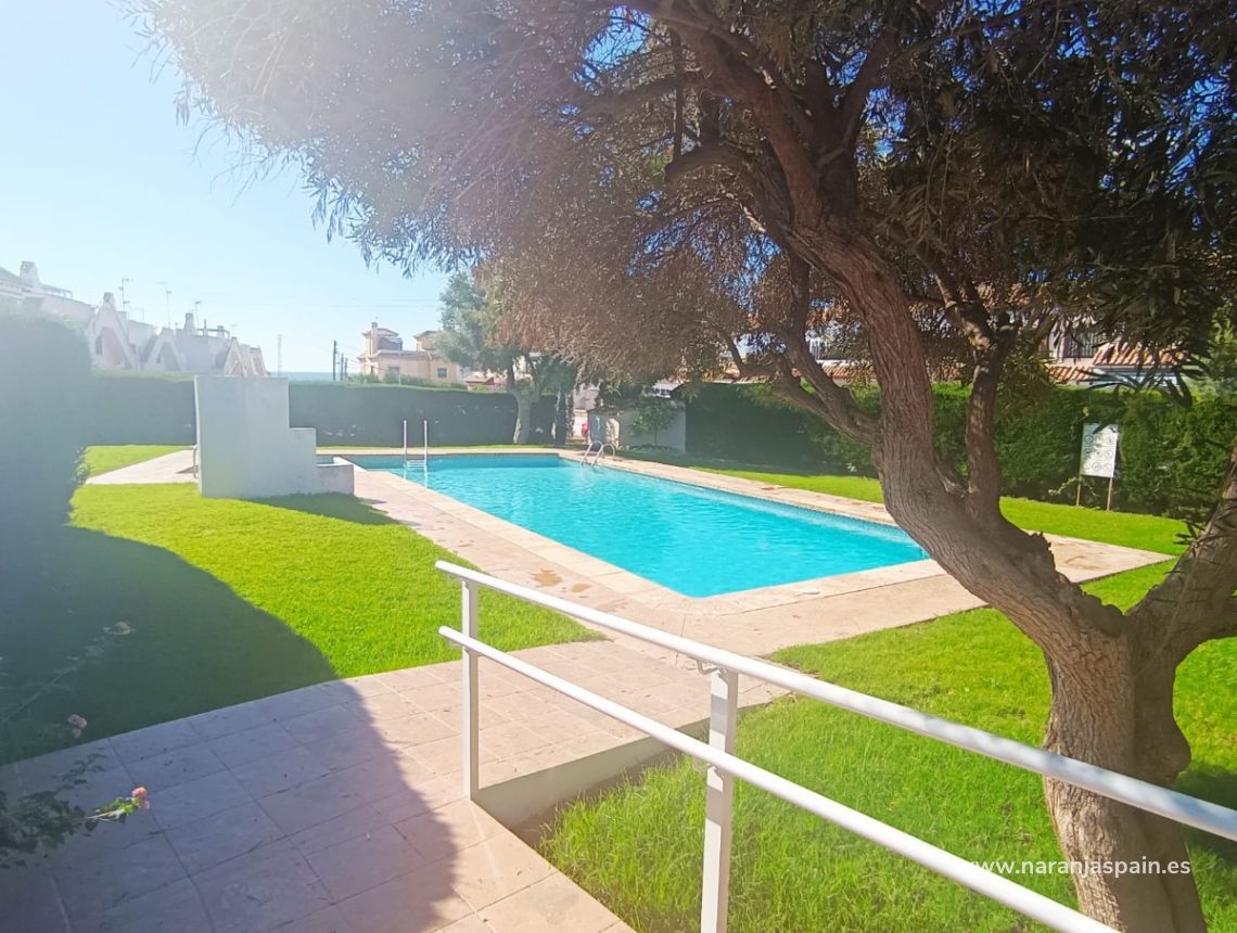 Sprzedaż - Bliźniak - Torrevieja - Los Frutales