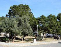 Sprzedaż - Bungalow - Guardamar del Segura - Urb. El Moncayo 