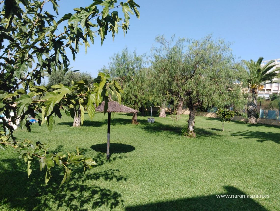 Sprzedaż - Bungalow - La Mata, Torrevieja - La Mata