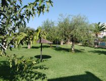 Sprzedaż - Bungalow - La Mata, Torrevieja - La Mata