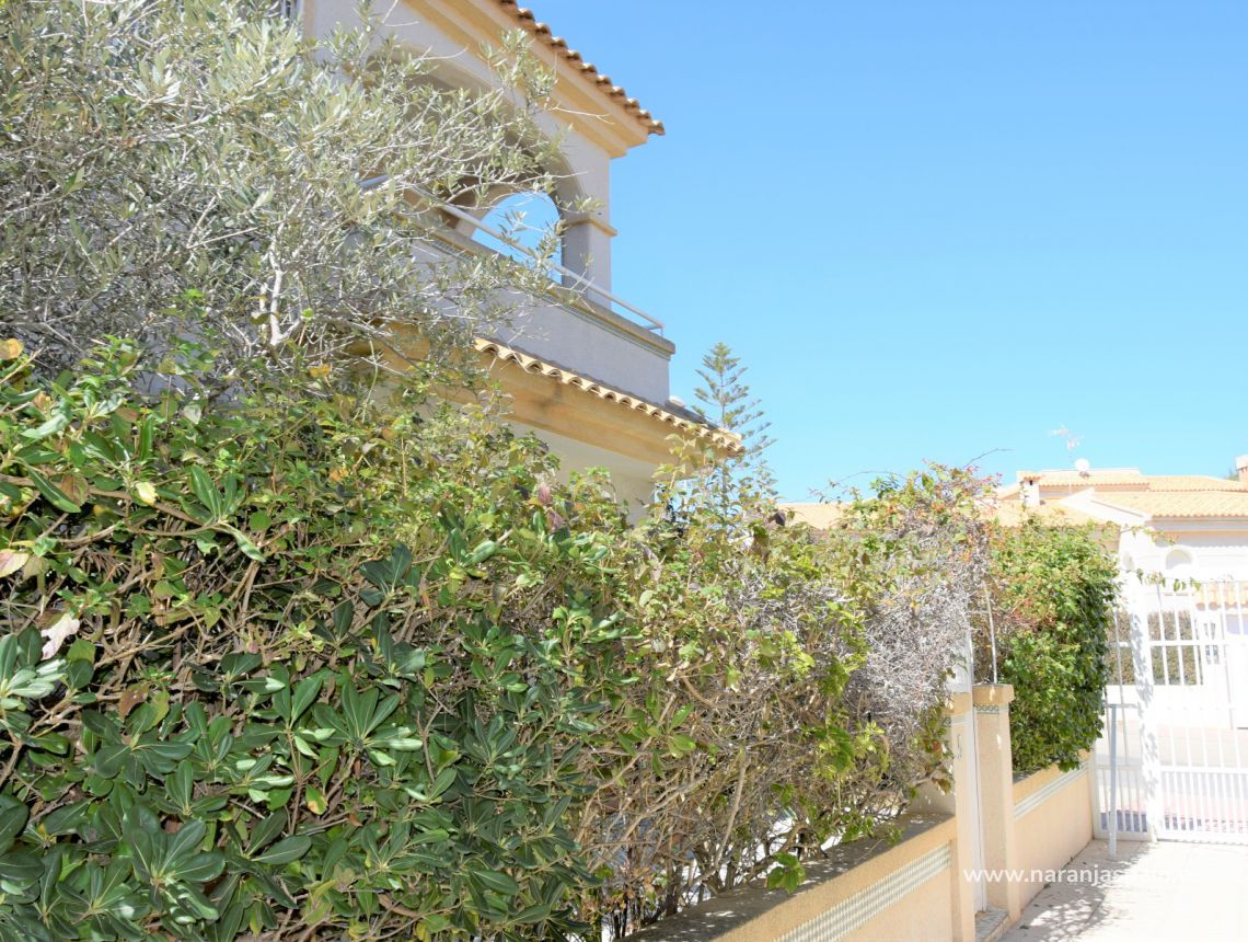 Sprzedaż - Bungalow - Torrevieja - Aguas Nuevas