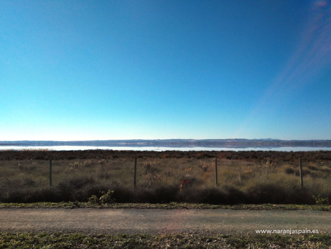 Sprzedaż - Bungalow - Torrevieja - El Chaparal