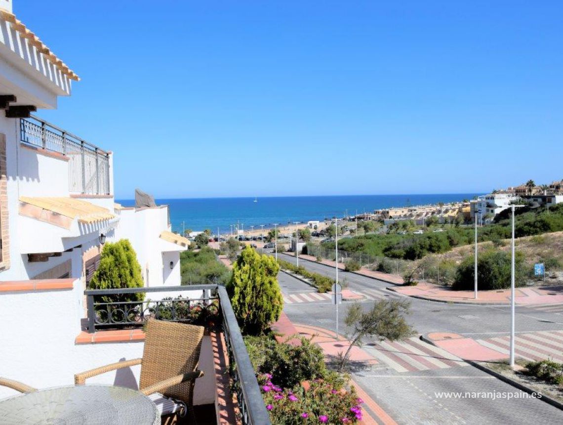 Sprzedaż - Bungalow - Torrevieja - Torrevieja town