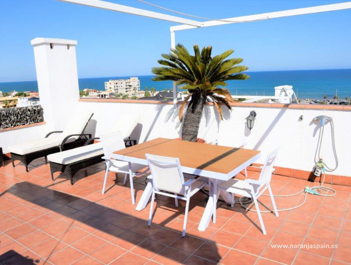 Sprzedaż - Bungalow - Torrevieja - Torrevieja town