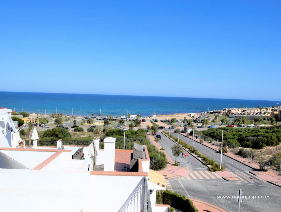 Sprzedaż - Bungalow - Torrevieja - Torrevieja town