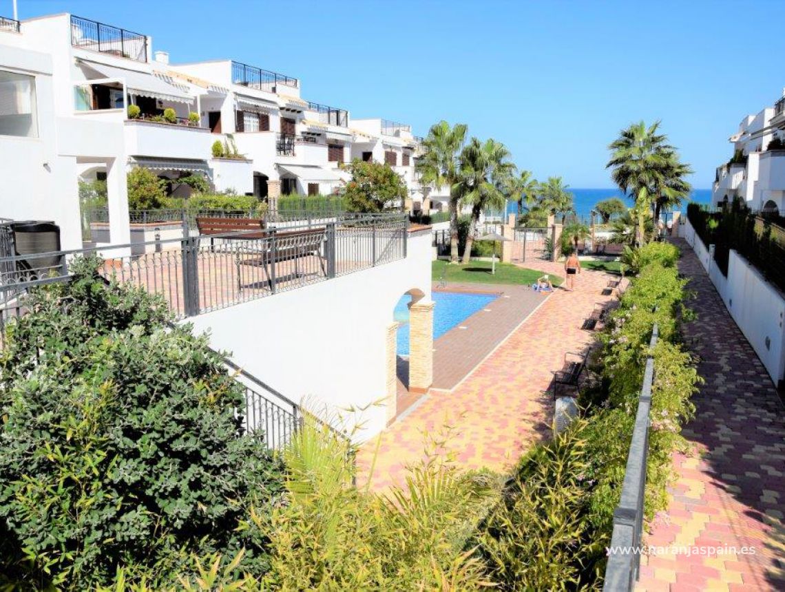 Sprzedaż - Bungalow - Torrevieja - Torrevieja town